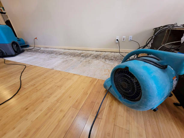 Professional Basement Flood Cleanup technician working in Drake, CO